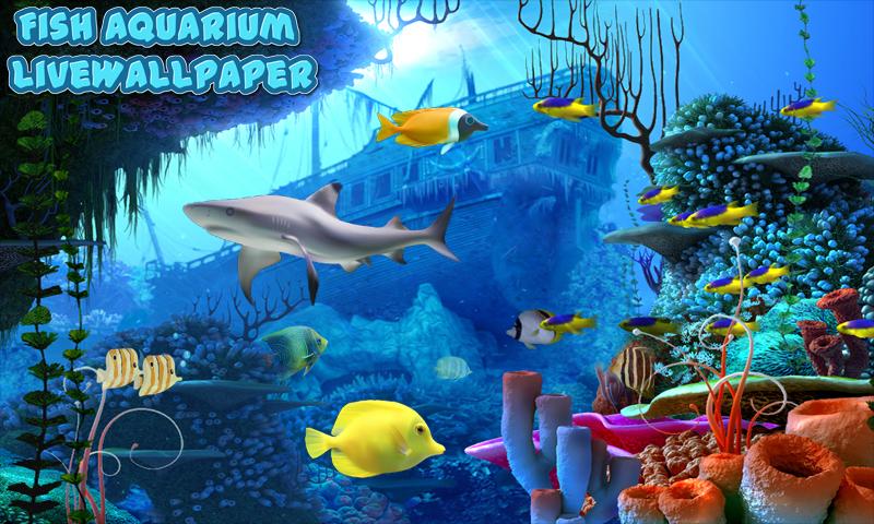 Peces Acuario Live Wallpaper For Android Apk Download