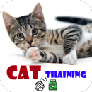 Cat Training App : Best Ways to training your cat APK