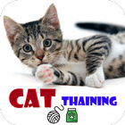 Cat Training App : Best Ways to training your cat icon