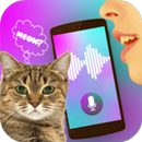 Cat Voice Translator Simulator APK