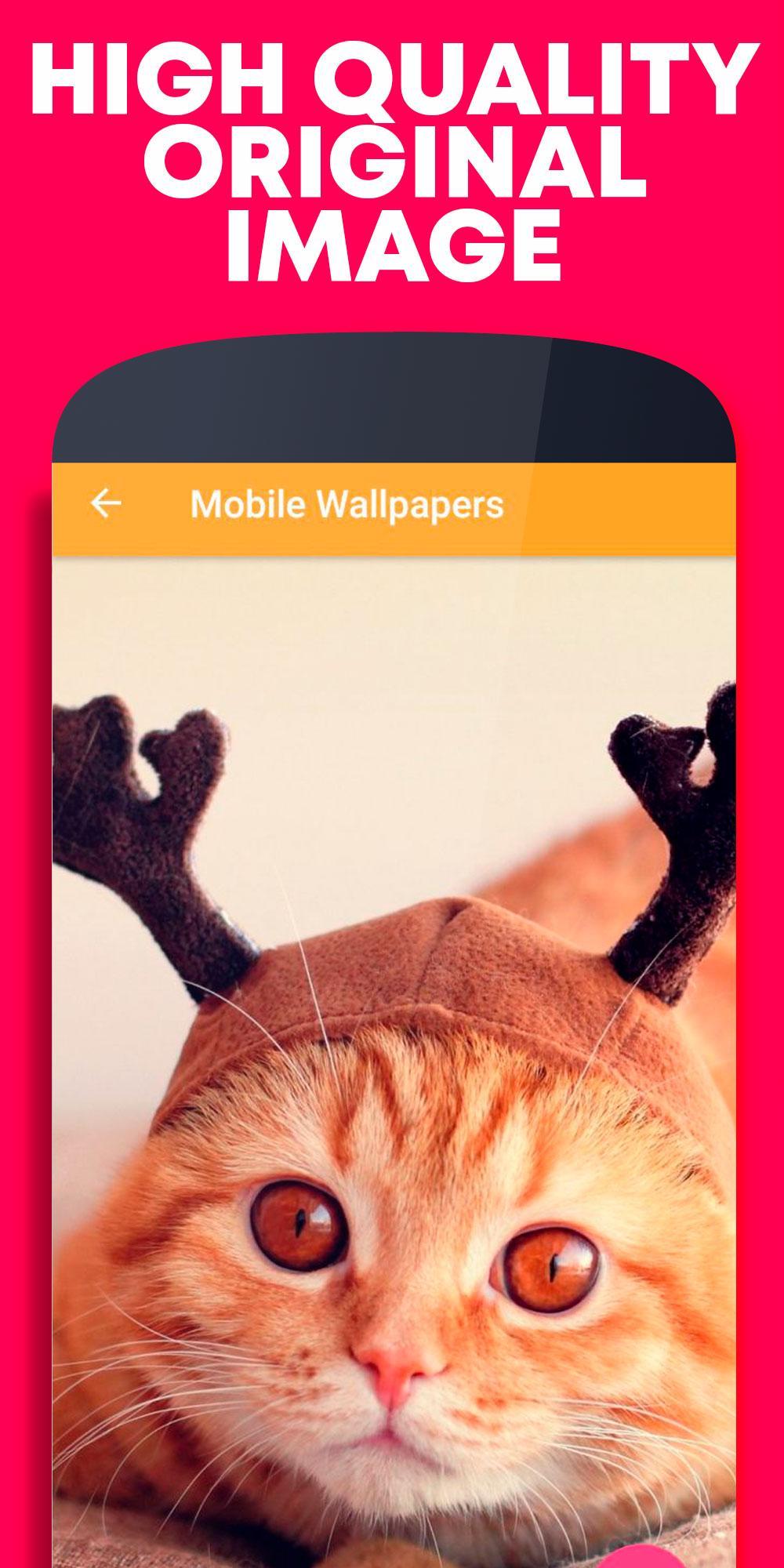 Android 用の かわいい壁紙猫 Apk をダウンロード