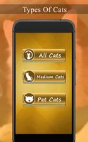 Cat Whistle Sound, Anti Cat & Cat Trainer captura de pantalla 2