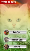 Anti Cat Repellent - Real Cat Sounds & Cat Trainer capture d'écran 2