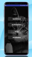 Cat Whistle and Trainer 2018 Cartaz