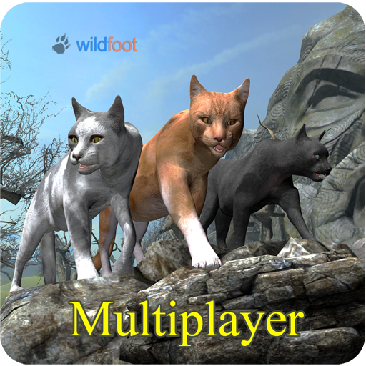 Cat Multiplayer