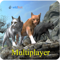 Cat Multiplayer