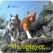 Cat Multiplayer