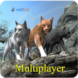 Cat Multiplayer icône