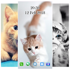 Cute Cat Wallpaper HD-icoon