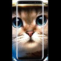 Cute Cat Wallpaper HD-poster