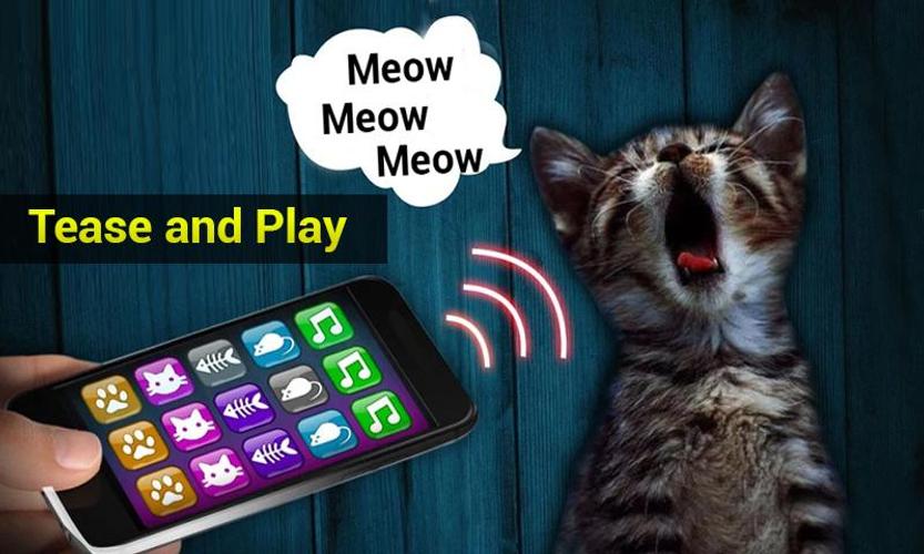 Игры звуки котов. Котики с приложением мобильным. Мобильное приложение для котов. Кошка для вызова. Свисток для кошек.