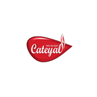 Cateyal 图标