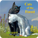 Cats of the Forest APK