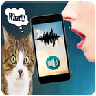Cat translator audio joke-icoon