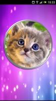 Lamp for children - cat الملصق