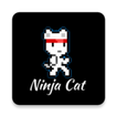 Ninja Cat