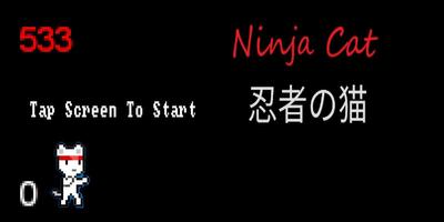 Ninja Cat poster