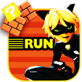 Cat Noir Adventur NEW