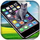 Cat on screen-Cat Run In Phone APK