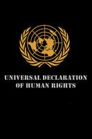 DECLARATION OF HUMAN RIGHTS الملصق