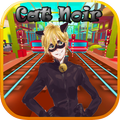 Run Cat Noir Adventure World