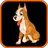 Породы собак с фото APK