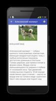 Породы собак screenshot 2