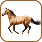 Horse Breeds icon