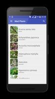 Medicinal herbs and plants โปสเตอร์