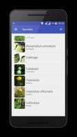 Medicinal herbs and plants captura de pantalla 1