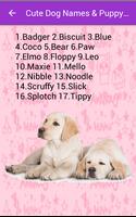 Pet Names Guide تصوير الشاشة 2