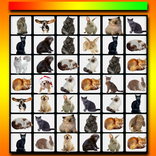 Onet Classic Animals