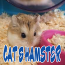 Cat and Hamster Lovers APK