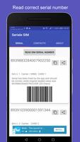 SIM Serial Cartaz