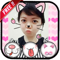 Cat Face