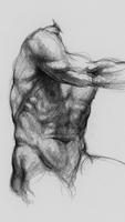 3D Anatomy for the Artist الملصق