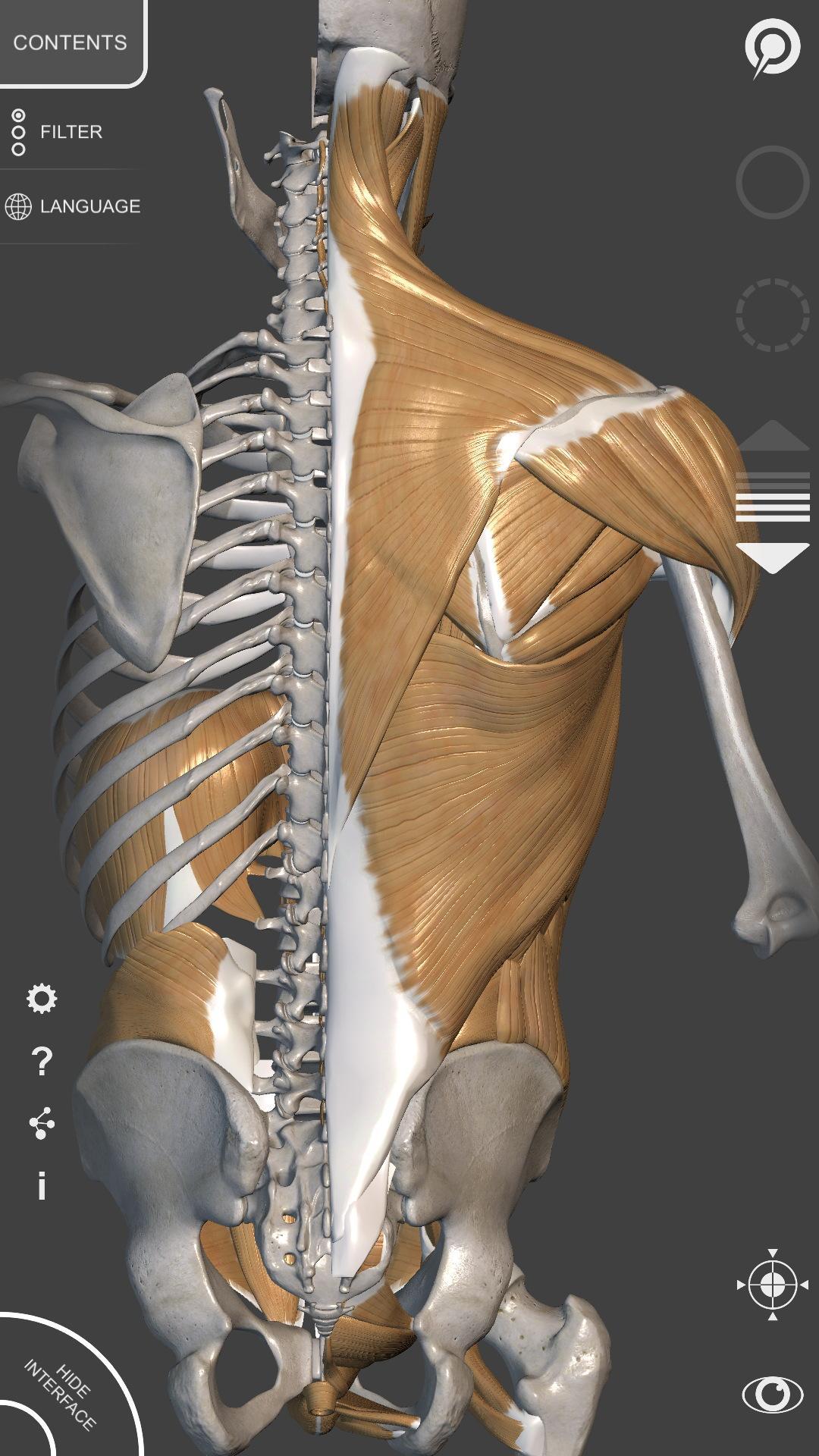 3D Anatomy for the Artist for Android - APK Download