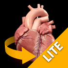 Heart 3D Anatomy Lite アイコン