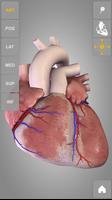 Heart 3D Anatomy Lite captura de pantalla 1
