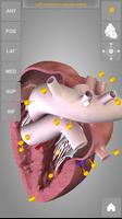 Heart 3D Anatomy Lite captura de pantalla 2