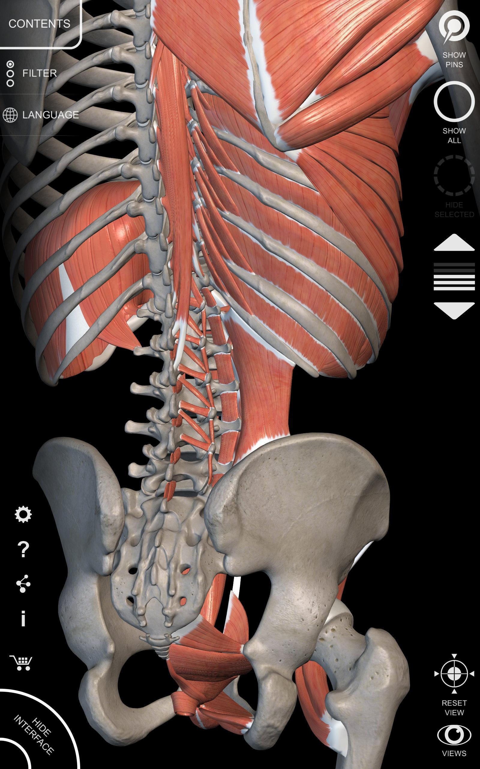 Android için Anatomy 3D Atlas - APK'yı İndir