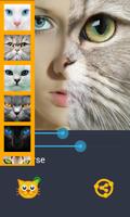 الفتاة القطة - تجميل الصور screenshot 2