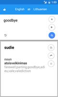 Lithuanian English Translate スクリーンショット 1