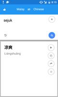 Malay Chinese Translate capture d'écran 3