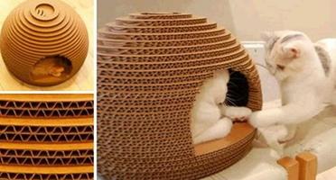 The Latest Cat House Designs 海報