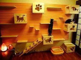 The Latest Cat House Designs imagem de tela 2