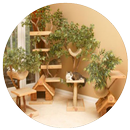 Cat House Designs Indoor APK