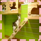 Cat House Designs-icoon