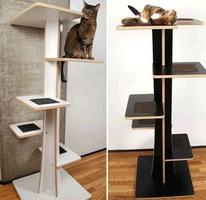 Cat House Designs ภาพหน้าจอ 3