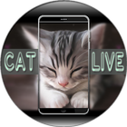 Cat Live Wallpaper icône